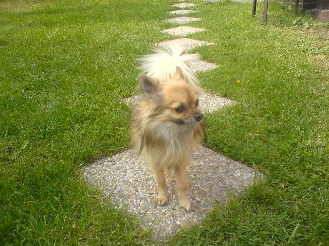 Fotky: �ivava (foto, obrazky)