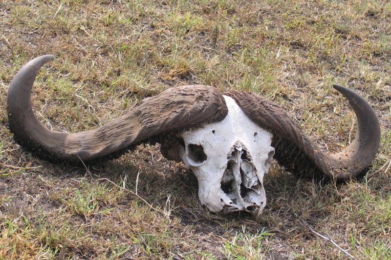 Fotky: Ke�a (cestopis) (foto, obrazky)