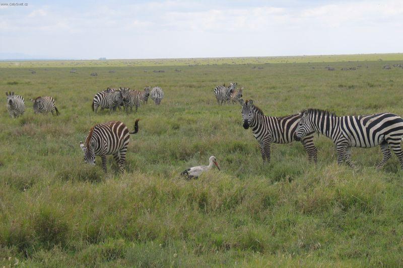 Fotky: Ke�a (cestopis) (foto, obrazky)