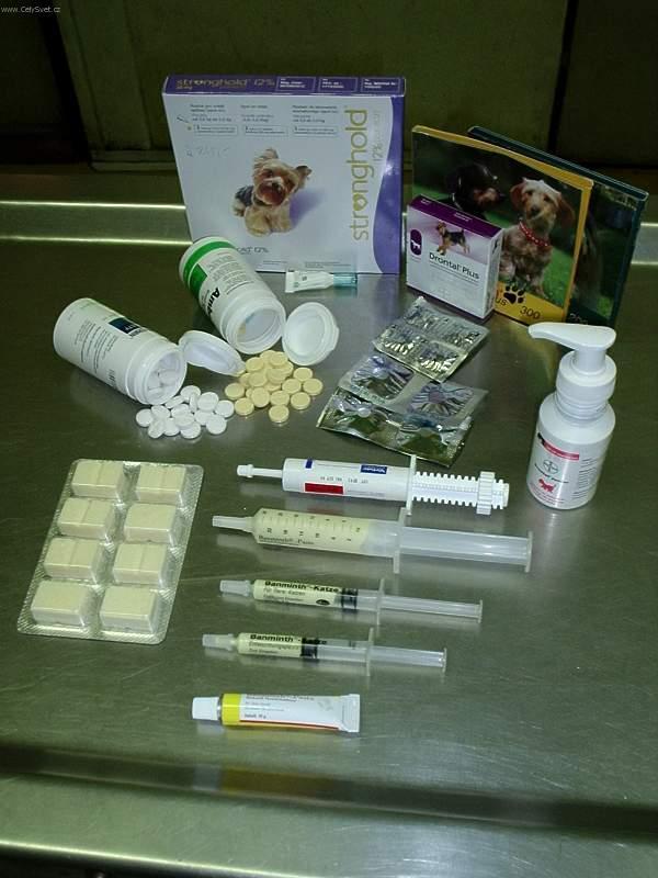 Foto: Od�erven� ps�