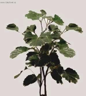 Fotky: St�novka (foto, obrazky)