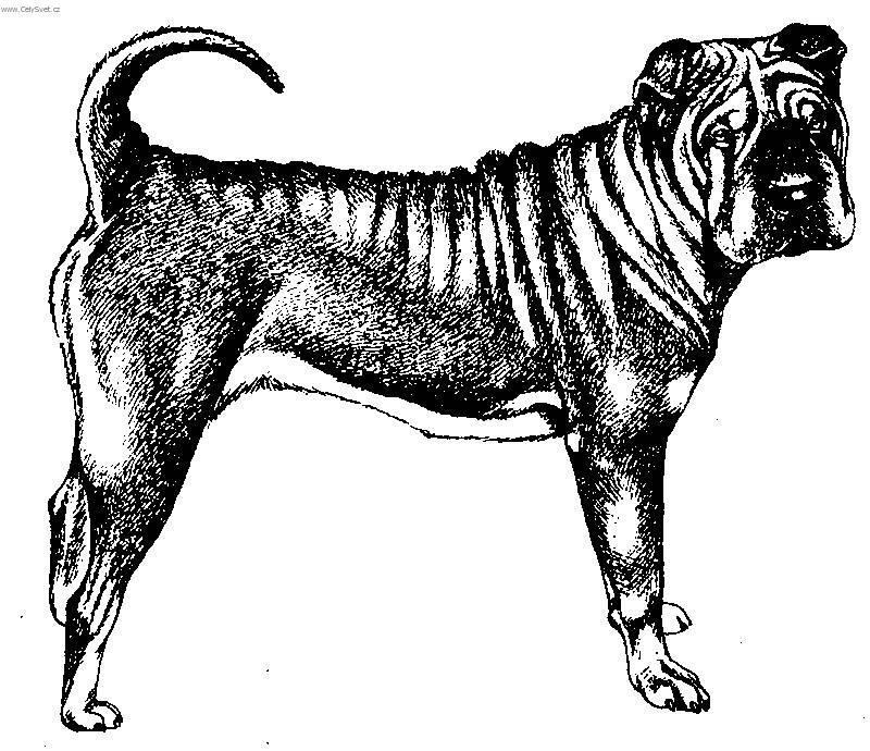 Foto: �arpej-Kresba