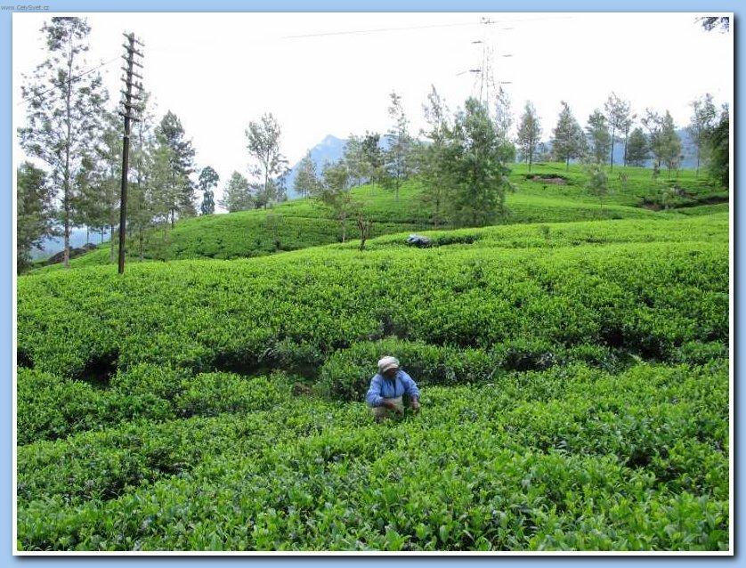 Fotky: Sr� Lanka (cestopis) (foto, obrazky)