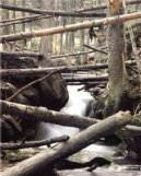 Fotky: Jiho�esk� kraj (foto, obrazky)