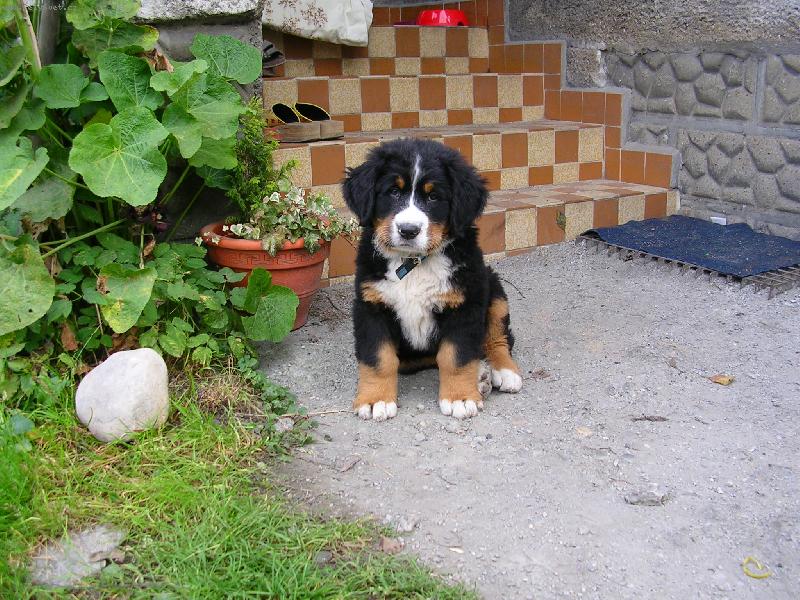 Foto: Max�k-Prvn� den doma