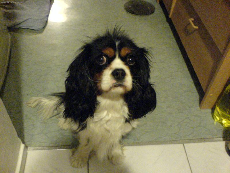 Foto: Bylinka-n� mil��ek :-))