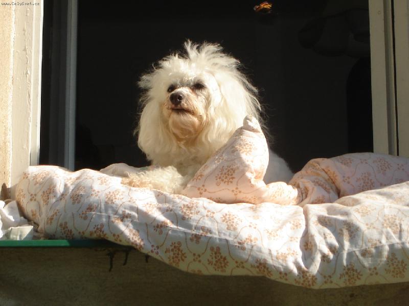 Foto: Den�sek-Jen se tak d�v�m a p�i tom hl�d�m....