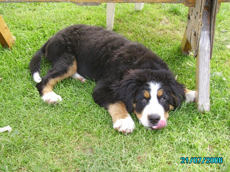 Foto: Jenny-dostanu n�co dobr�ho?