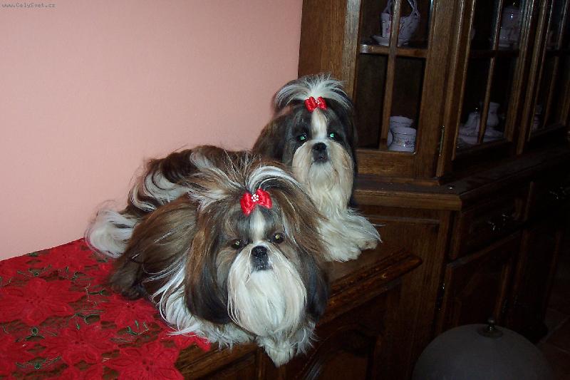 Foto: ze Slavon�na-moji mil��ci