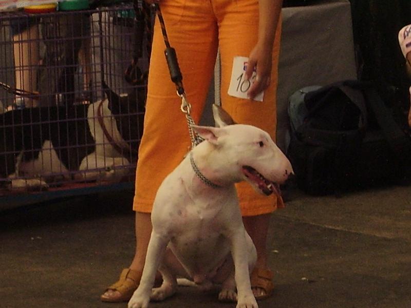 Foto: Timothy Leary Hamentashen