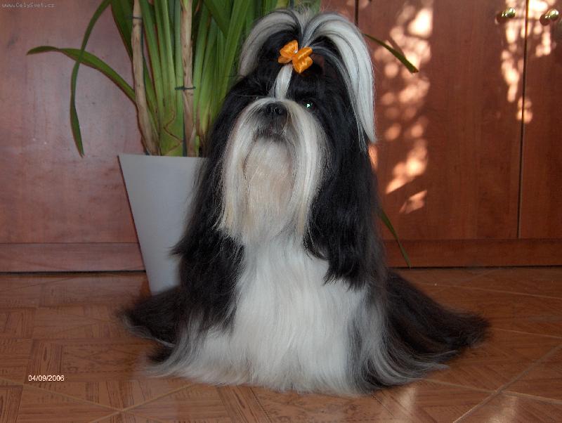 Foto: Bude to trvat je�t� dlouho?