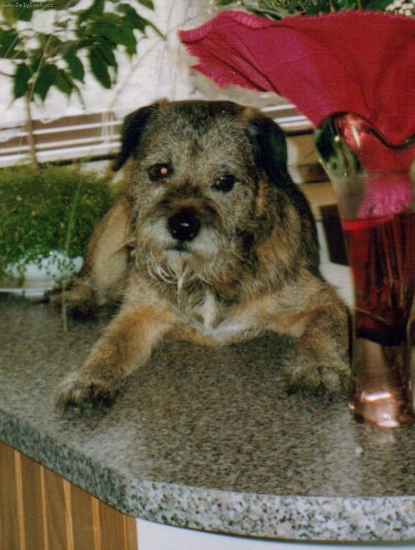 Foto: Has�nkova pohodi�ka-HASAN