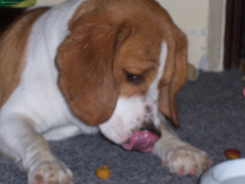 Foto: hmmm to byla dobrota