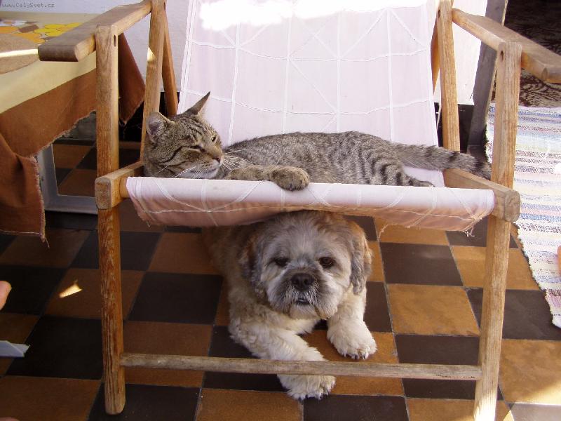 Foto: siesta-Lhasa a partak na oddychu