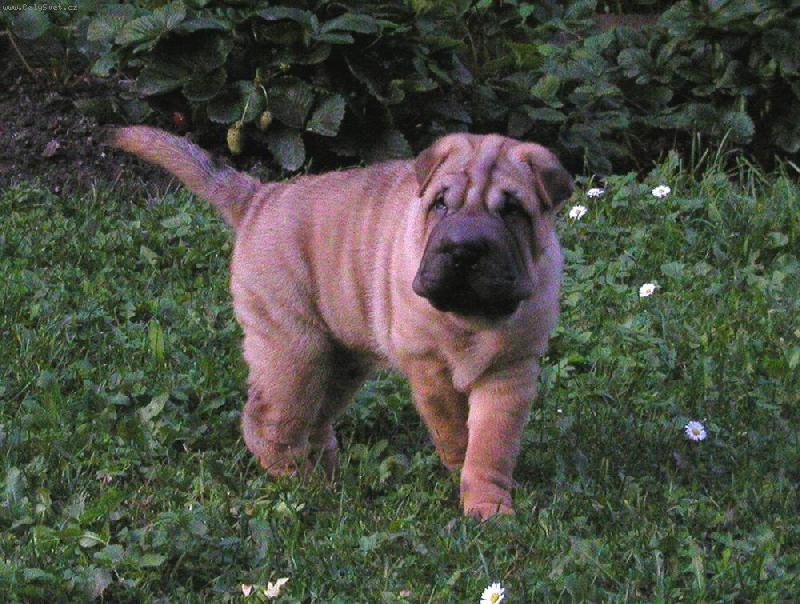 Foto: �t�n� - 7 t�dn�