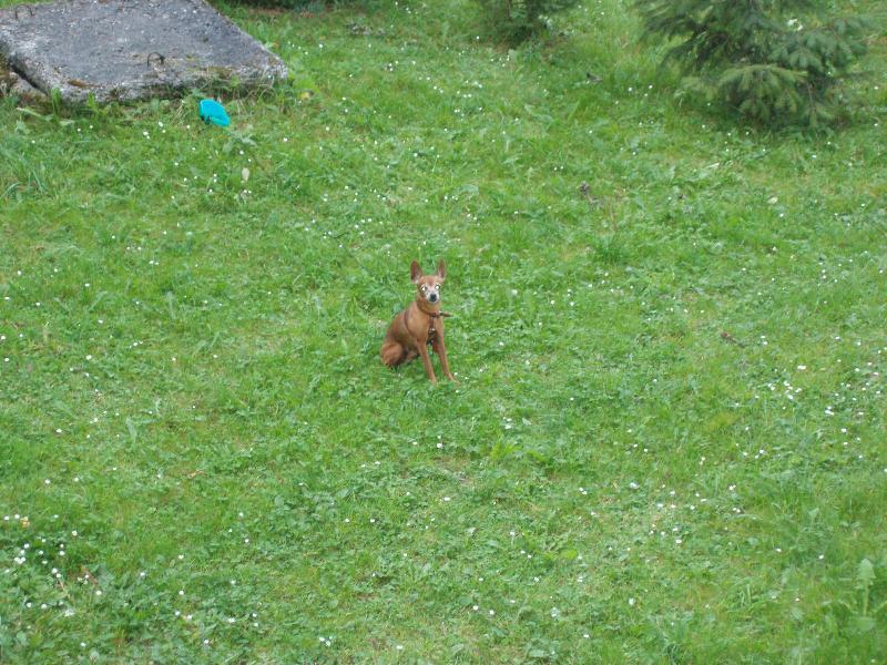 Foto: n� herec-mil��ek Adinko