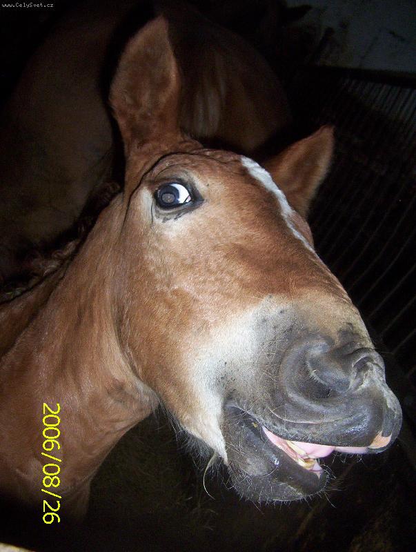 Foto: Dol�a-mim�:)