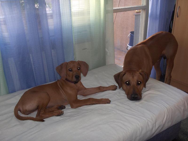 Foto: Meggii & Richrd