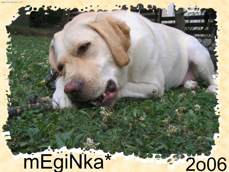 Foto: Megie kosti�ky miluje...