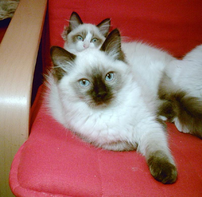 Foto: Isabel de Borgione-Vylet� to tam ten pt��ek-nebo n�m kec�???