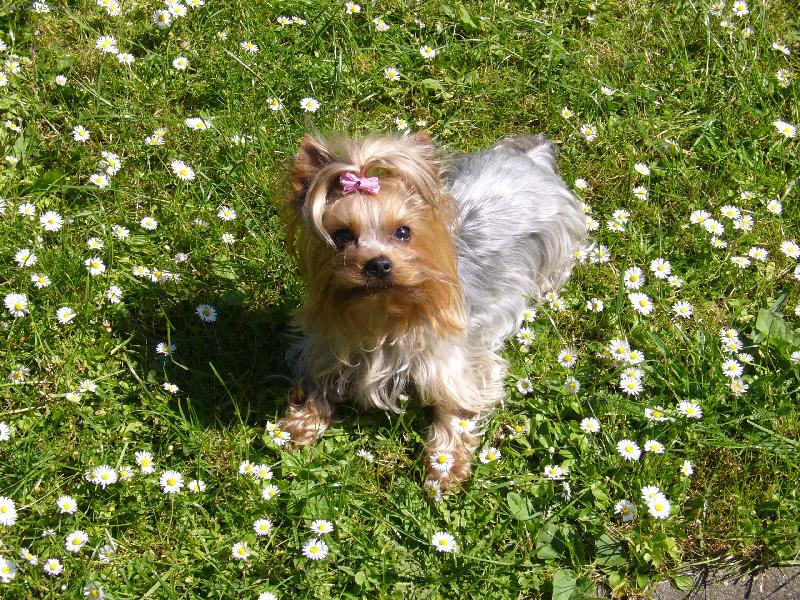 Foto: Nellynka-na proch�zce