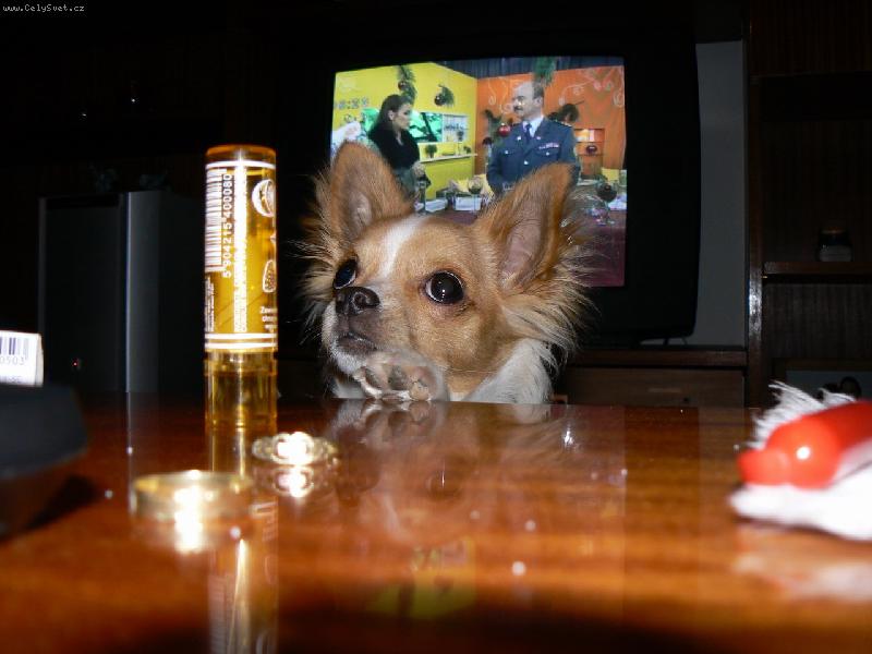 Foto: n�co pro mn�?...-Dane�ek- zv�davec...