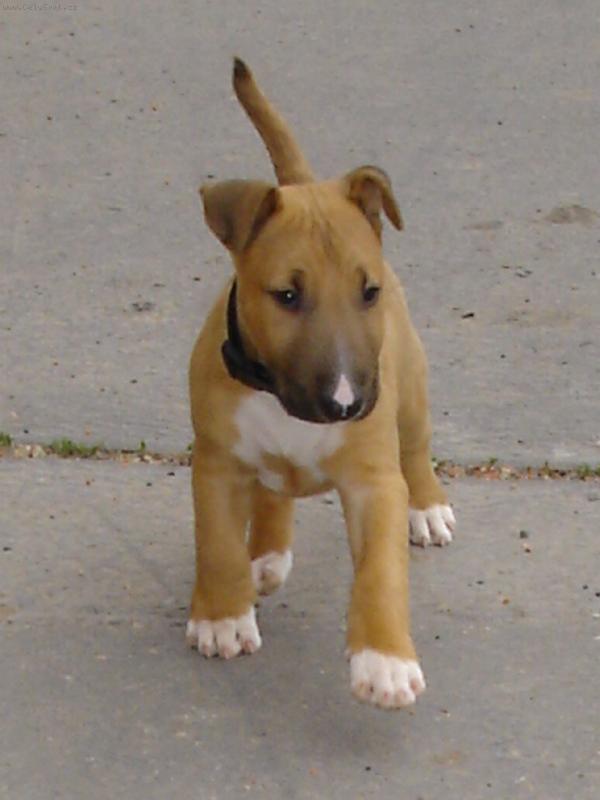 Foto: Fad�sek - �t�n�tko