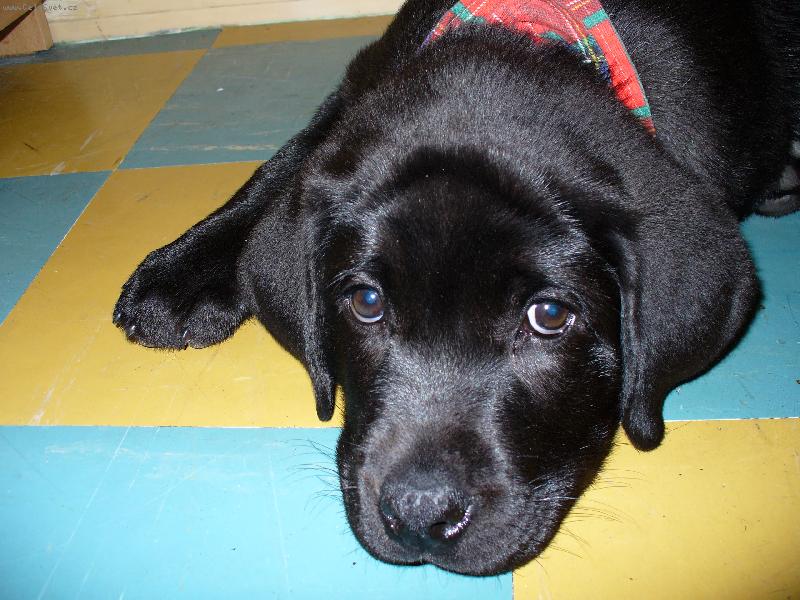 Foto: Mal� Eli�ka