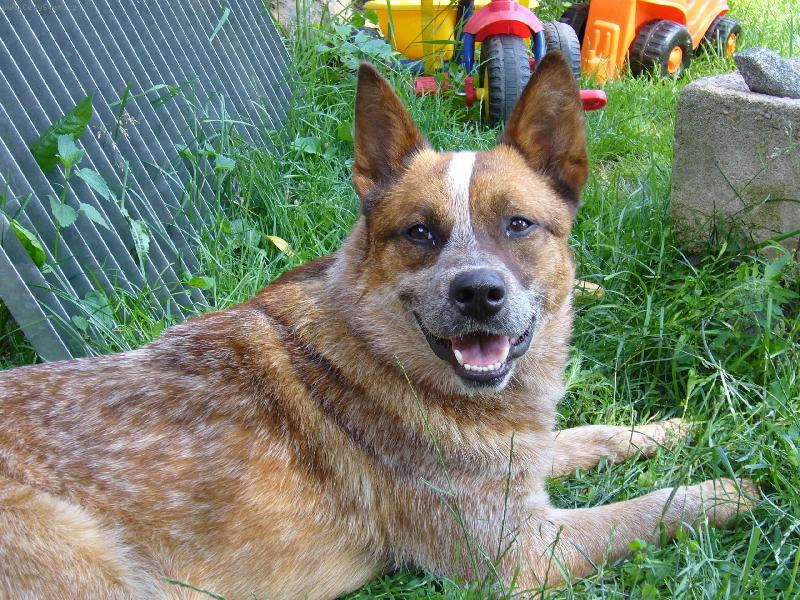 Foto: ACD-fe��k Andy