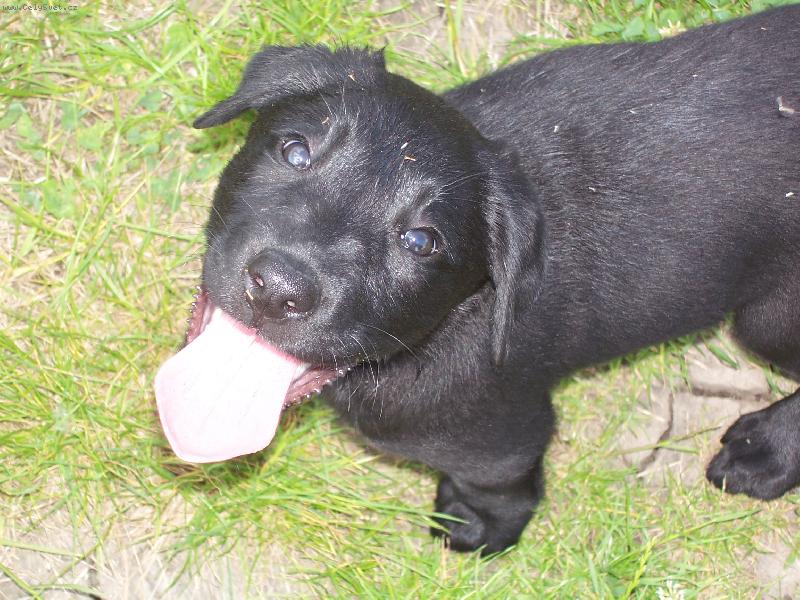 Foto: Jessie kdy� byla je�t� malink�