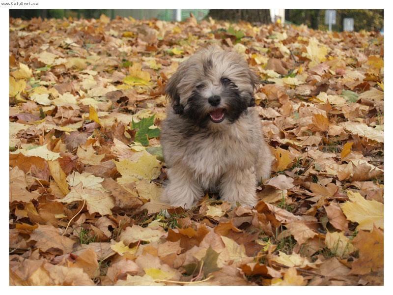 Foto: Ange-skoro 4 m�s�ce