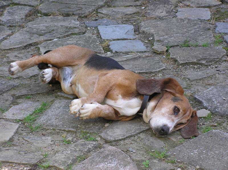 Foto: Jen tak se valet...