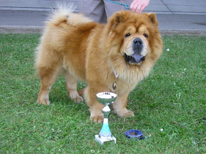 Foto: YONNE z �DOL� SN̎ENEK