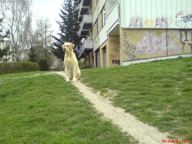 Foto: Vyhl��-Kouk�m kde je Bad