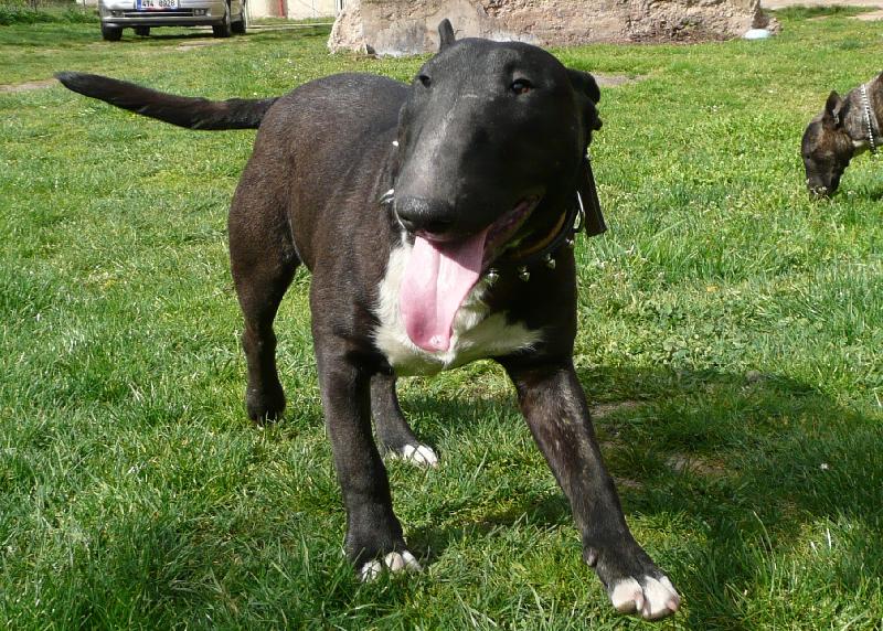 Foto: Ozzy-Usm�v pros�m