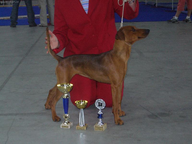 Foto: v�stava-hur�!