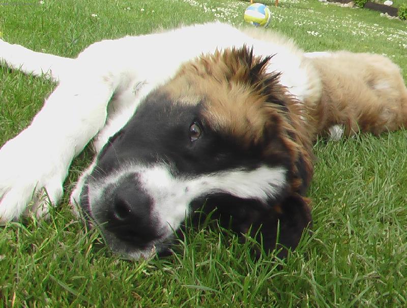 Foto: CADDY-Tak odpo��v�m