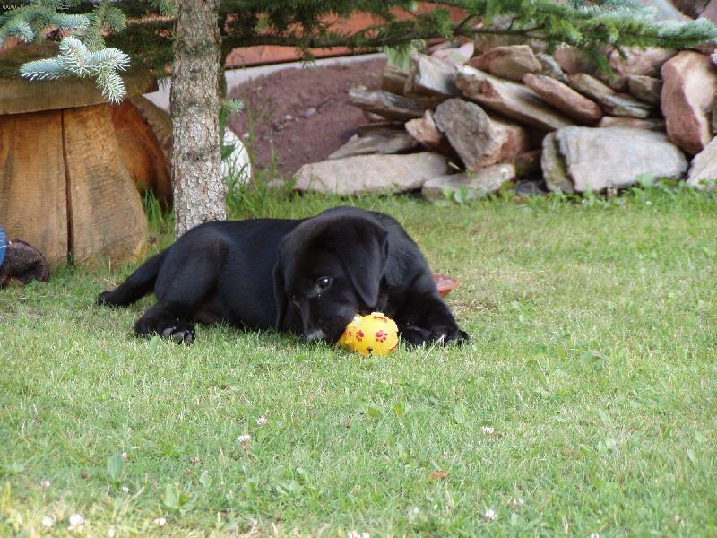 Foto: �t���tko-Miminko :)