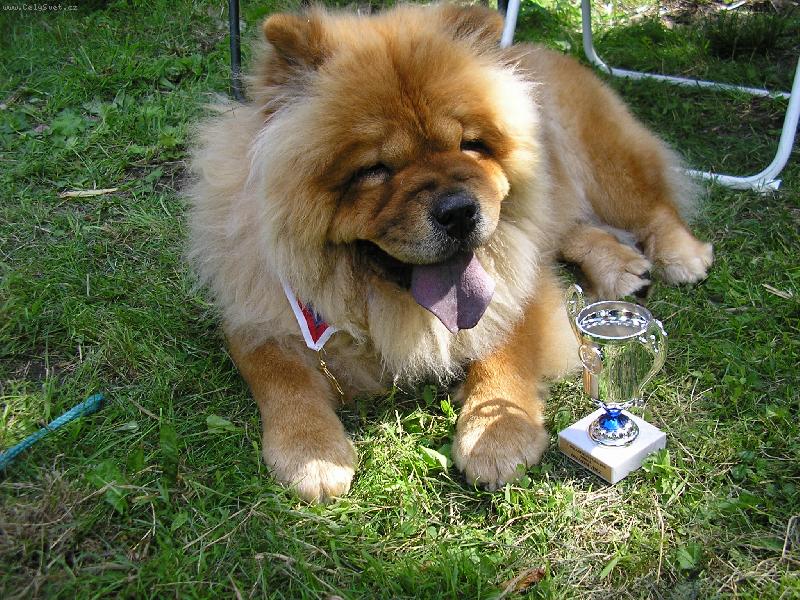 Foto: oblastn� v�t�zka