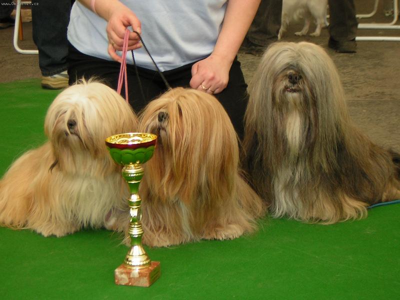 Foto: ...v�stava...