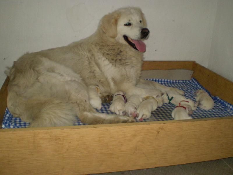 Foto: �t���tka s maminkou Nerkou