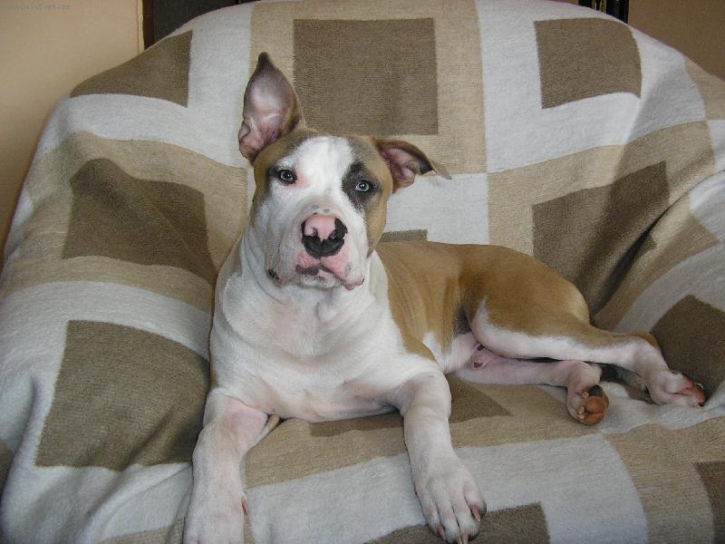 Foto: BRUCE  u� rostu   7.m�s�cu