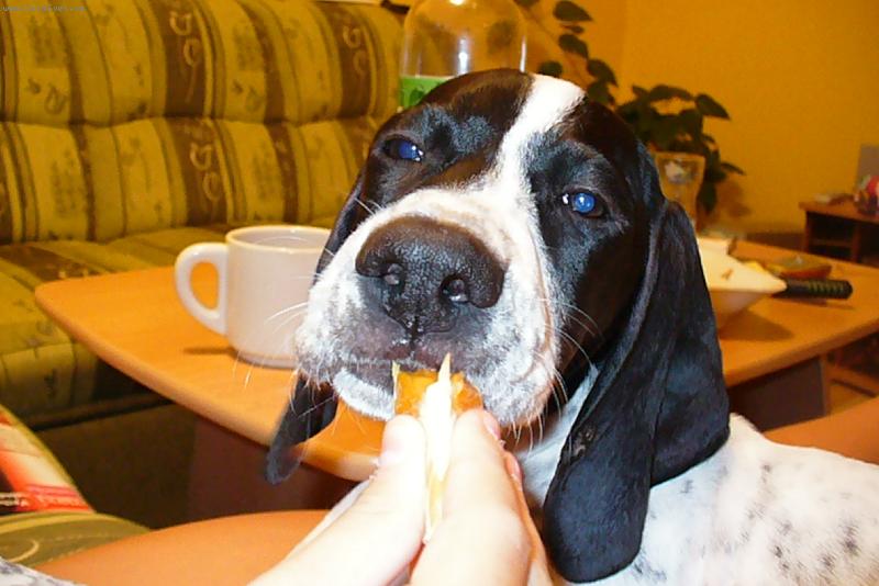 Foto: no neni hezk�