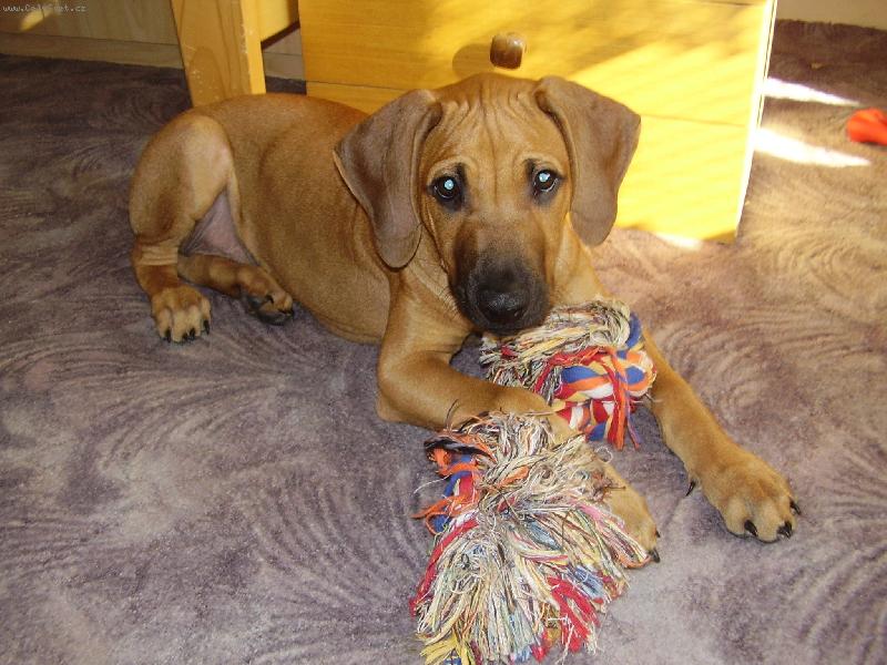 Foto: Aaronek-...u� jsou mi t�i m�s�ce!!