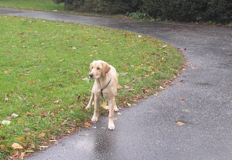 Foto: 5 m�s�c�