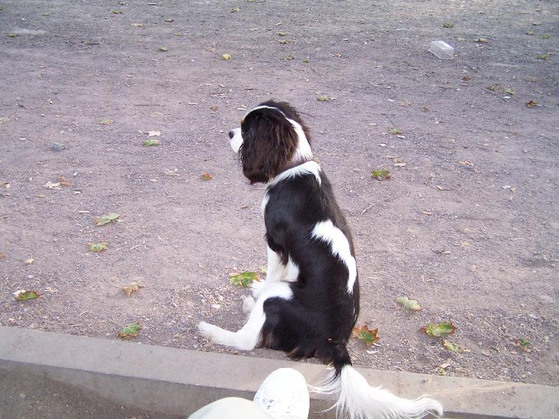 Foto: Lucky �ek�...