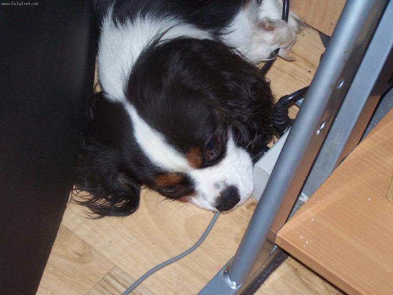 Foto: jsem schovanej