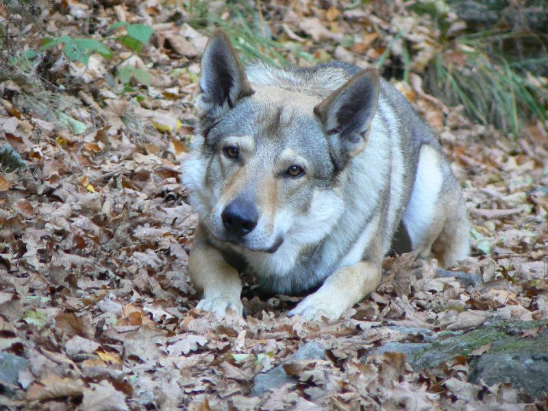 Foto: Na ��han�...