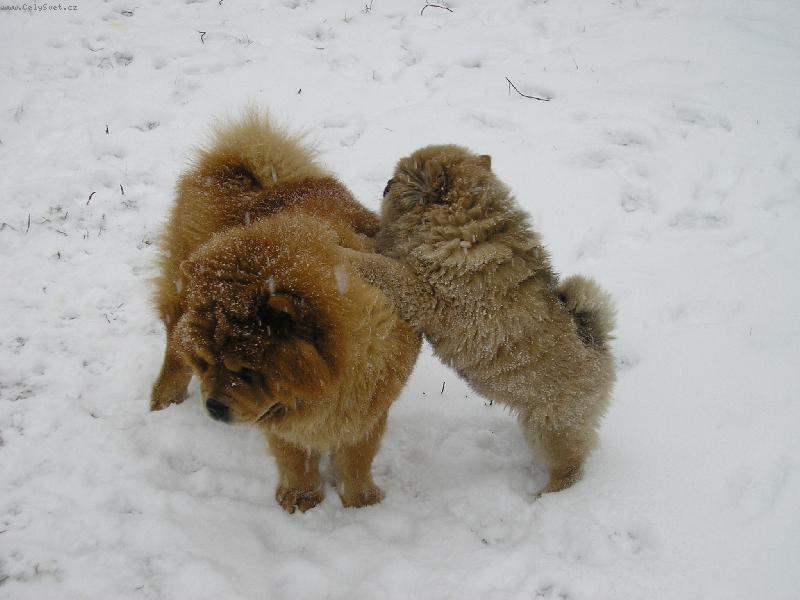 Foto: je�t� kousek a u� to uvid�m