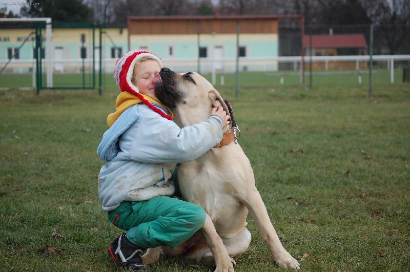 Foto: l�ska je l�ska-Istra (Sofie)  s kamar�dkou Hani�kou